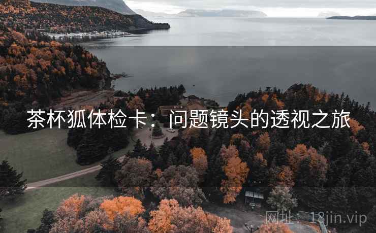 茶杯狐体检卡：问题镜头的透视之旅