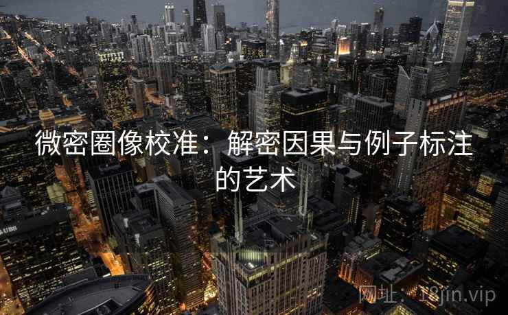 微密圈像校准:解密因果与例子标注的艺术